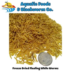 White Worms--Freeze Dried, Great for smaller Tropicals and Marines - Picture 1 of 5