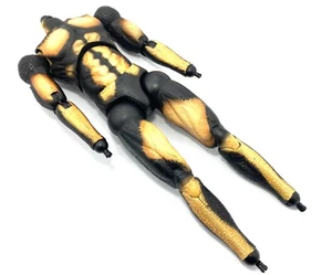 1/6 Scale Hot Toys MMS09 AVP Alien vs Predator Scar Predator Figure - Body - Picture 1 of 9