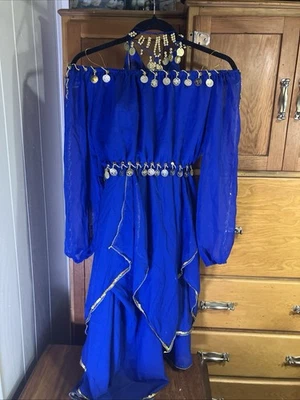 Belly Dancer Gypsy 3 Piece Costume Small Chiffon Skirt, Head Scarf, & Top - Image 1 of 4