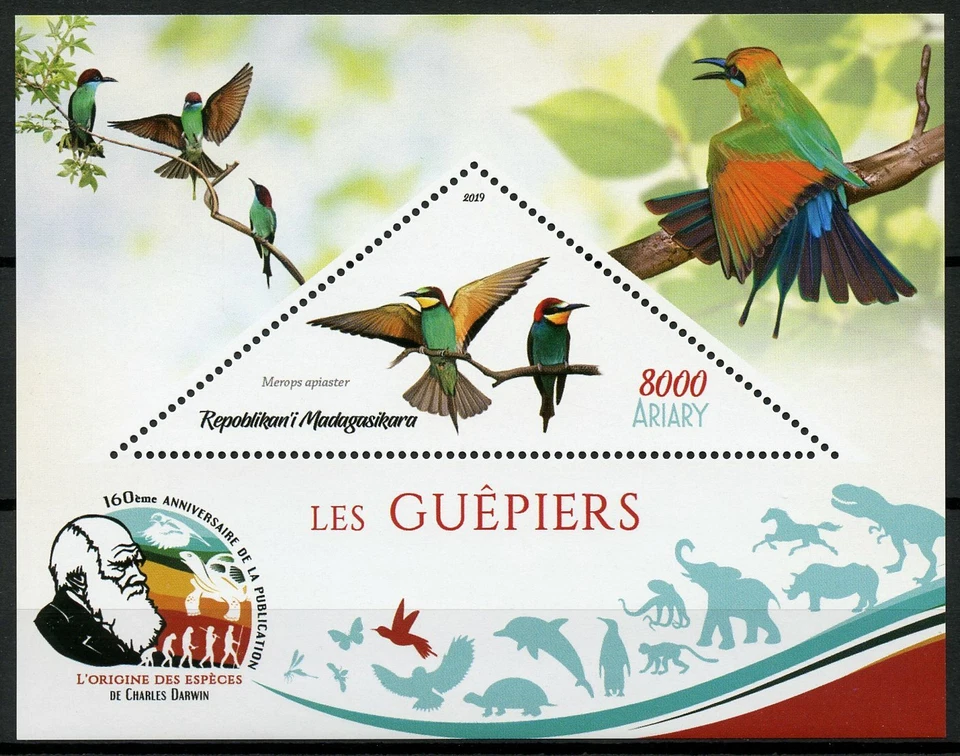 Madagascar 2019 MNH Bee-Eaters European Bee-Eater 1v S/S IV Birds on Stamps - Image 1 of 1