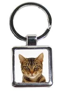 Llavero y bolsa de regalo cuadrado de metal plateado de lujo para gato atigrado mascota - Imagen 1 de 4