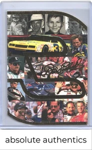 2002 Dale Earnhardt The Artist Series #3 Die Cut - Picture 1 of 2