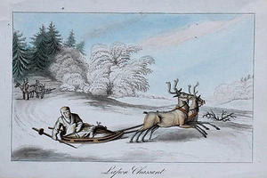 Lapland Lapon Chassant Rentier Reindeer Schlitten Sledge Lappländer Lappland - Bild 1 von 3