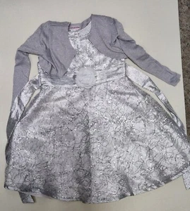 Youngland Girls Dress Silver Sparkle Size 4 With Sweater  - Picture 1 of 7
