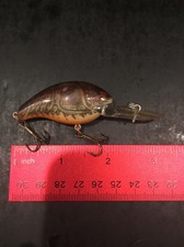 Rebel Deep Wee R Naturalize Brown Craw