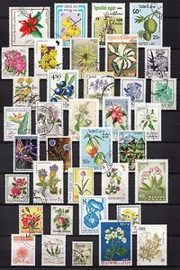 101427/ Flores y plantas - bonito lote - o - nada contado - ver escaneo - Imagen 1 de 1