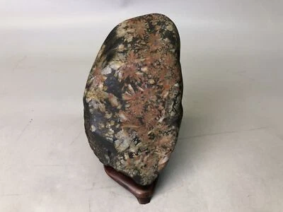 Y7717 OKIMONO Chrysanthemum stone wood stand signed Japan antique decor interior - Image 1 of 4