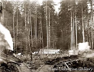Logging Camp & Railroad, Pacific Northwest - circa 1900 - Historic Photo Print - Picture 1 of 1