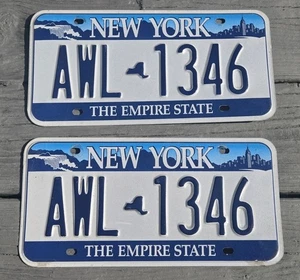 New York State License Plates Pair Empire Niagara Falls AWL 1346 Plate Skyline - Picture 1 of 2