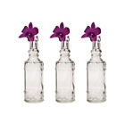 Luna Bazaar Small Vintage Glass Bottle Set (6.5-Inch, Calista Cylinder Design, C
