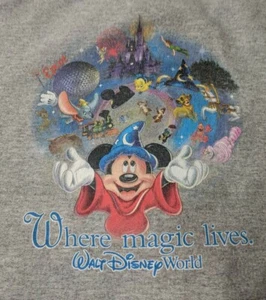 Walt Disney Kids XL Gray Full Zip Cozzy Hoodie. Pre owned. - Picture 1 of 6