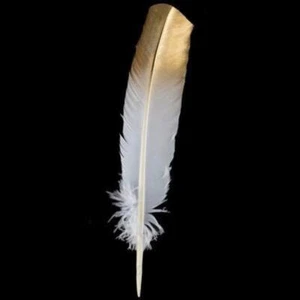 New Gold Tipped White Turkey Wing - Wholesale Feathers & Craft Supplies - Picture 1 of 1