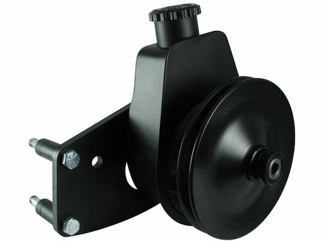 For 1977-1979 Ford LTD II Power Steering Pump Kit Borgeson 78965TR 1978 5.0L V8 - Image 1 of 2