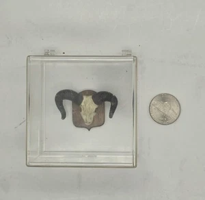 Vtg 1982 Miniature Mounted Cow Skull Horns Hand Crafted Diane Terhune 1.5" x 1" - Picture 1 of 4