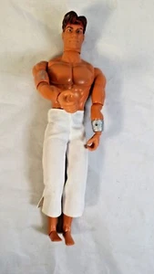 2002 Mattel MAX STEEL KARATE MASTER ELECTRONIC ANIMATED MOVING Action Figure - Picture 1 of 3