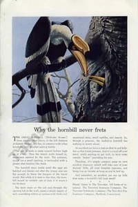 1939 Travelers Insurance Gran Hornbill Arte Impresión Revista Anuncio Decoración de Pared? (4098) - Imagen 1 de 1
