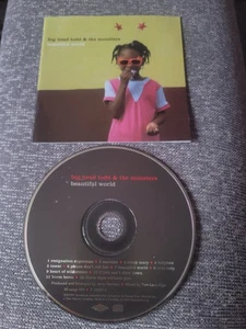 Beautiful World Big Head Todd & The Monsters CD DISC ONLY + Art Cover#0024 - Bild 1 von 1