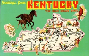 Postcard Chrome Greetings Kentucky Blue Grass State Map PC529 - Picture 1 of 2