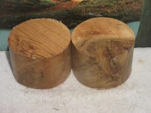 WATER OAK 6X4 TURNING WOOD BOWL BLANKS - Picture 1 of 1