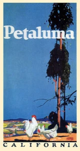 PETALUMA CALIFORNIA CHICKEN FARM POULTRY FARMING USA VINTAGE POSTER REPRO - Picture 1 of 3