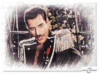 Freddie Mercury--f01dca