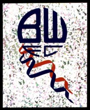 Merlin’s F.A. Premier League 04 - Club Emblem Bolton Wanderers No. 115
