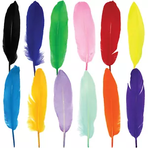 120 Stck. Bunte Gänsefedern zum Selbermachen Handwerk Schmuckherstellung Hochzeit (12 Farben) - Bild 1 von 15