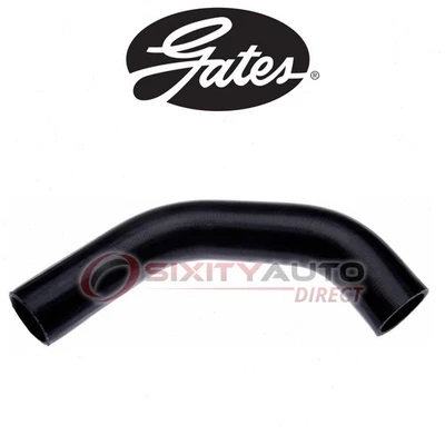 Gates Lower Radiator Coolant Hose for 1975-1978 Dodge B100 5.2L 5.9L V8 - ns - Image 1 of 4