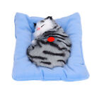 (Activated Charcoal Grey Cat) 02 015 Sleeping Cat Toy Relaxing Simulation