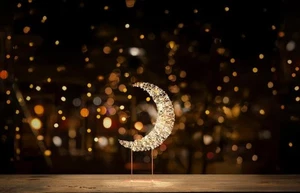 Xmas Table Top Crescent Moon 45cm Rose Gold with 720 Warm White LEDs Christmas - Picture 1 of 4