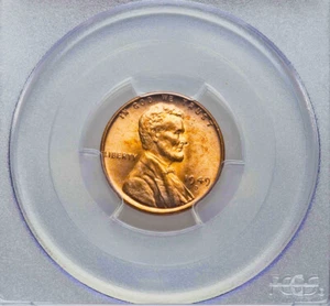 Centavo de trigo Lincoln rojo 1949 D graduado PCGS MS66RD ¡GRAN PRECIO! - Imagen 1 de 3