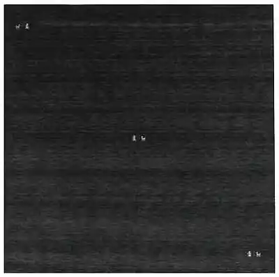 Hand-Knotted Gabbeh Rug Charcoal Tribal Large Square Modern Wool Carpet 8X8 ft - Image 1 of 4