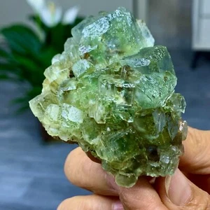 170G Rare transparent green cubic fluorite mineral crystal sample/China - Picture 1 of 21