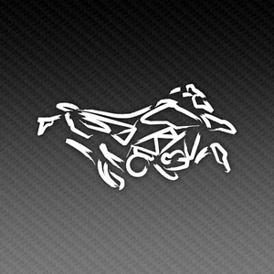 Ducati Hypermotard 950 Kalligraphie Motorrad Sticker Supermoto Decal 15x9cm - Picture 1 of 3