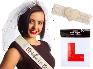 Hen Party Bride to be Night Out Accessories Tiara Veil Garter Sash L Plate Rose - Picture 1 of 10