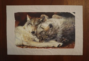Happy nappers wolf Happy birthday PUMPERNICKEL PRESS greeting card - Picture 1 of 4