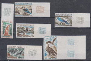 Afars Issas Bird/Kingfisher/Oystercatcher/Eagle Imperforated 310-14 C50 1967 MNH - Picture 1 of 1