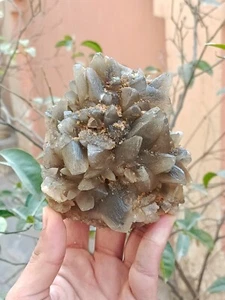 670g Natural Gemstone Smoky Dog Tooth Calcite Cluster Mineral Specimen Crystal - Picture 1 of 12