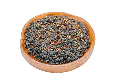 ERDTMANN KLEINTIERFUTTER GMBH Anhaltiner Meisenfutter 5kg Premium Wildvogel Körner Mischfutter ganzjährig