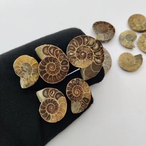 Natural stones, ammonite fossil, ammonite stones, gemstones, healing gemstones - Picture 1 of 11