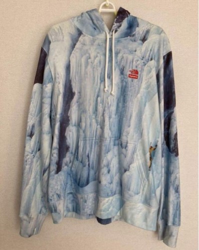 Parka Supreme North Face