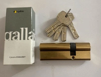 Serrure Barillet cylindre de securité LEGALLAIS 30 X 60 mm Avec 5 clés  Neuf - Photo 1/4