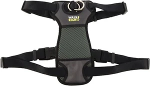 "Arnés acolchado Coastal Pet Walk con conexión frontal derecha negro pequeño de 16"" a 24""" - Imagen 1 de 3