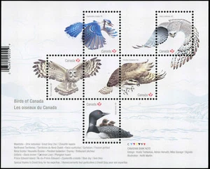 Sello de Canadá #3017 - Aves de Canadá - 2 (2017) $4,25 - Imagen 1 de 1