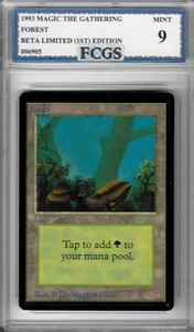 1993 MTG Beta Limited Forest Graded FCGS 9 MINT! - Picture 1 of 2