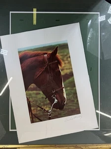 Linda McCartney Large Format #43/150 "Cinnamon" Hand Signed, Numbered Print - Picture 1 of 8