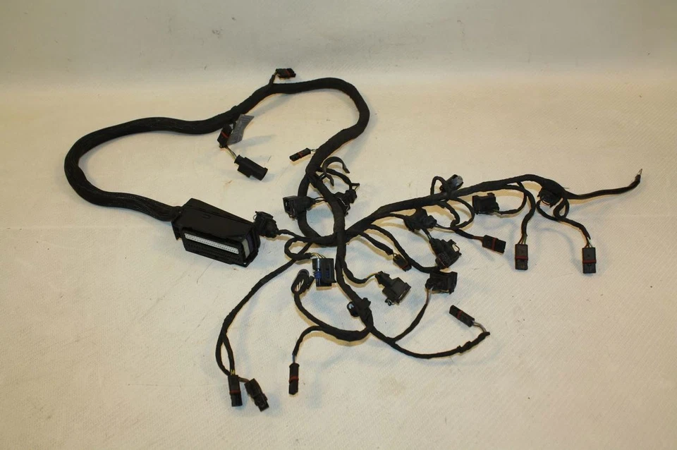 BMW K1200S K1200 06 Motor principal Cuerpos del acelerador Cableado Arnés Telar Tapones Foto 1 de 1