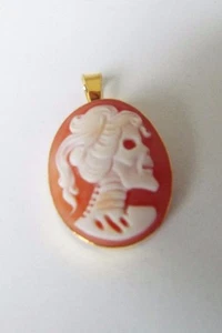 Master Hand carved Carnelian Conch Shell Cameo pendant with gold filled setting - Picture 1 of 7