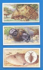 WONDERS OF NATURE.Nos.1,4,8.3 LAMBERT & BUTLER CIGARETTE CARDS 1924