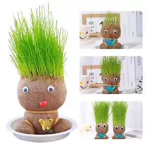 Growing Grass Head Doll Plant Children Gift Indoor Balcony Baby Pot Planters - Picture 1 of 15